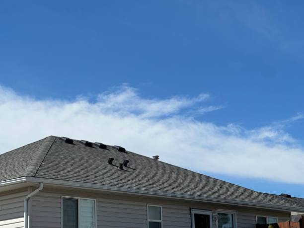 Fast & Reliable Emergency Roof Repairs in Chaparral, NM